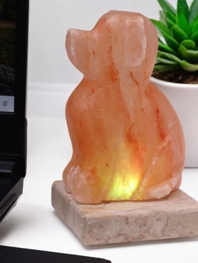 USB Dog Shaped (Multi)